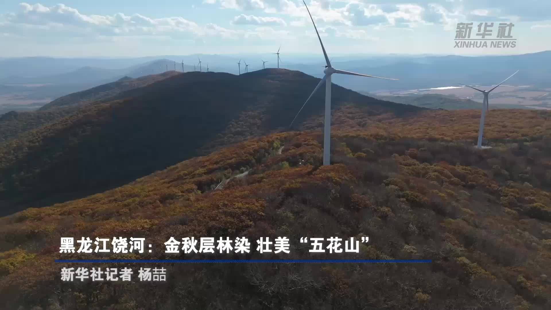 黑龙江饶河：金秋层林染 壮美“五花山”
