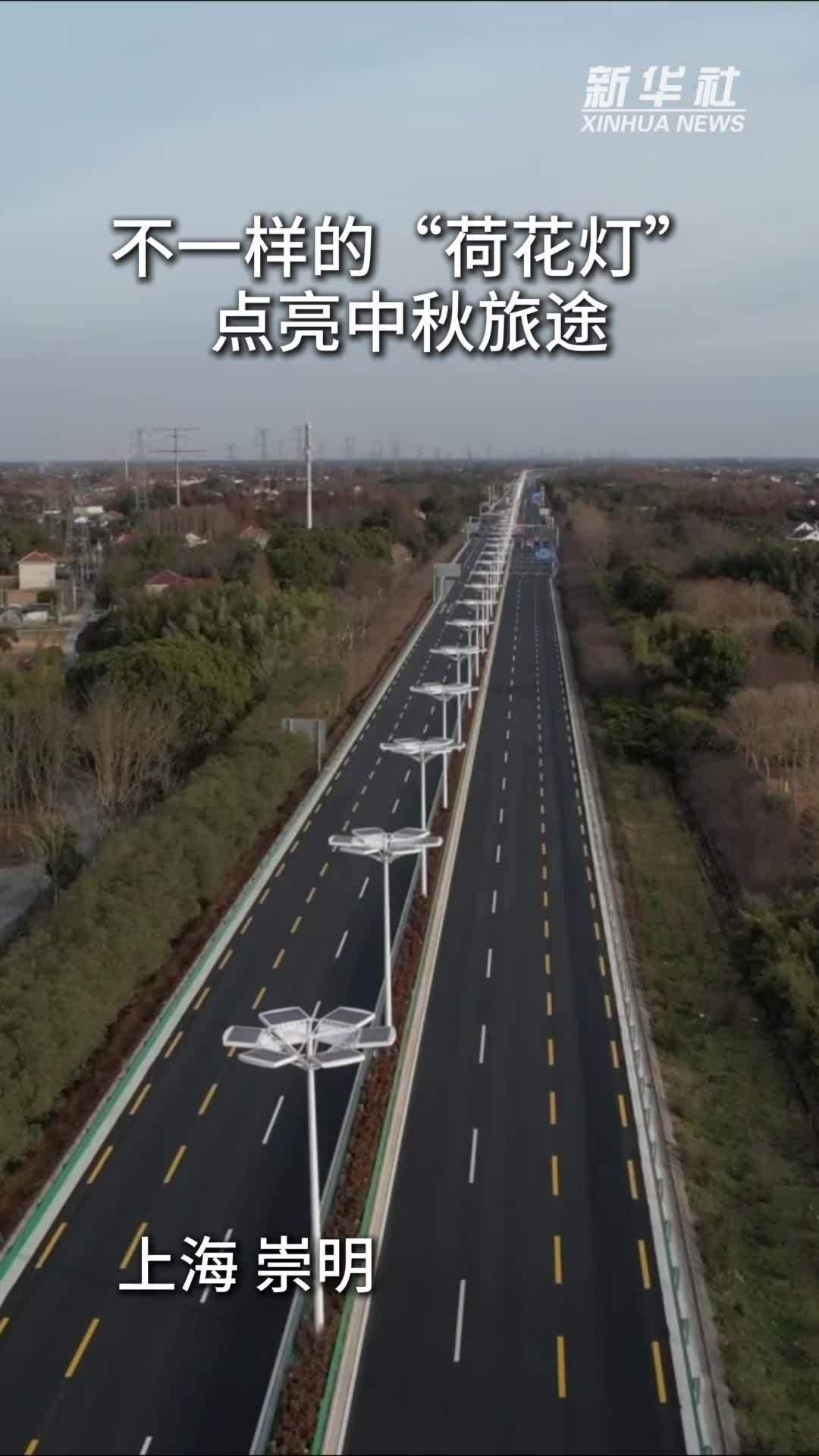 上海崇明：不一样的“荷花灯”点亮中秋旅途