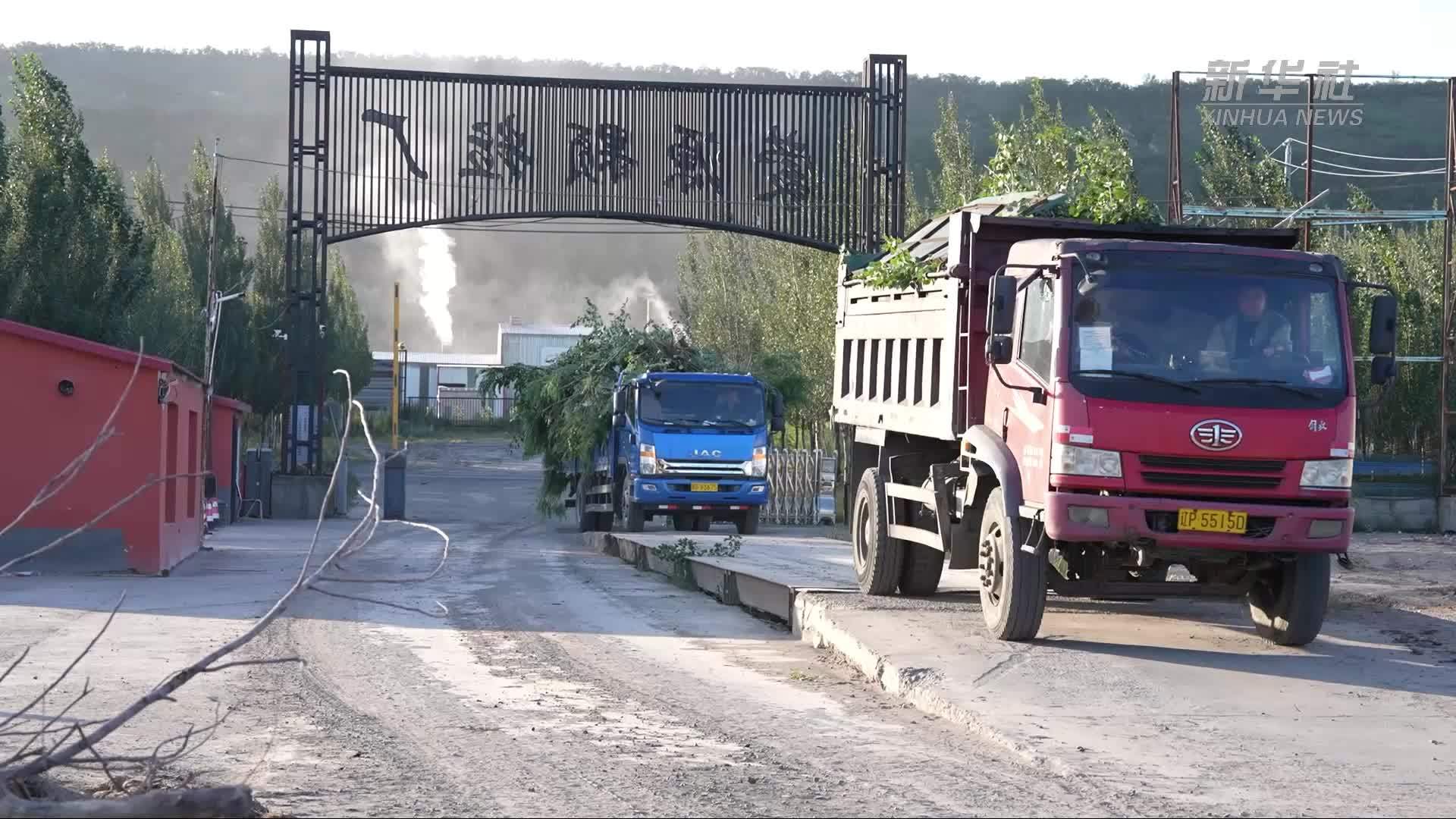 内蒙古霍林郭勒：木质固废的绿色蜕变之路