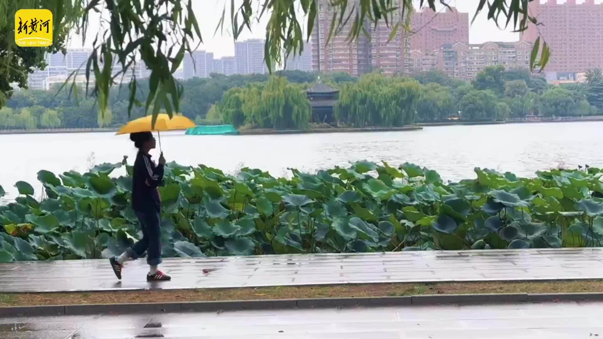 雨润明湖游人至，济南泉水游热度高涨