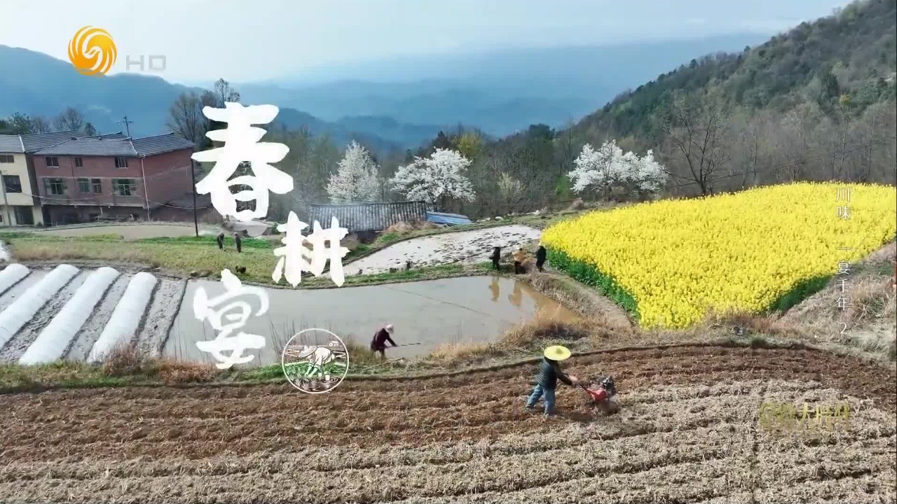 一桌春耕宴，半卷风物志，宴席的香气在山间萦绕