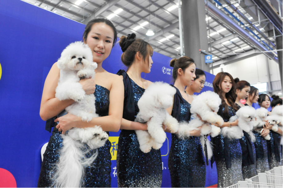 “科学繁育 健康发展”2026首届宠物产业源头博览会开幕式圆满落幕