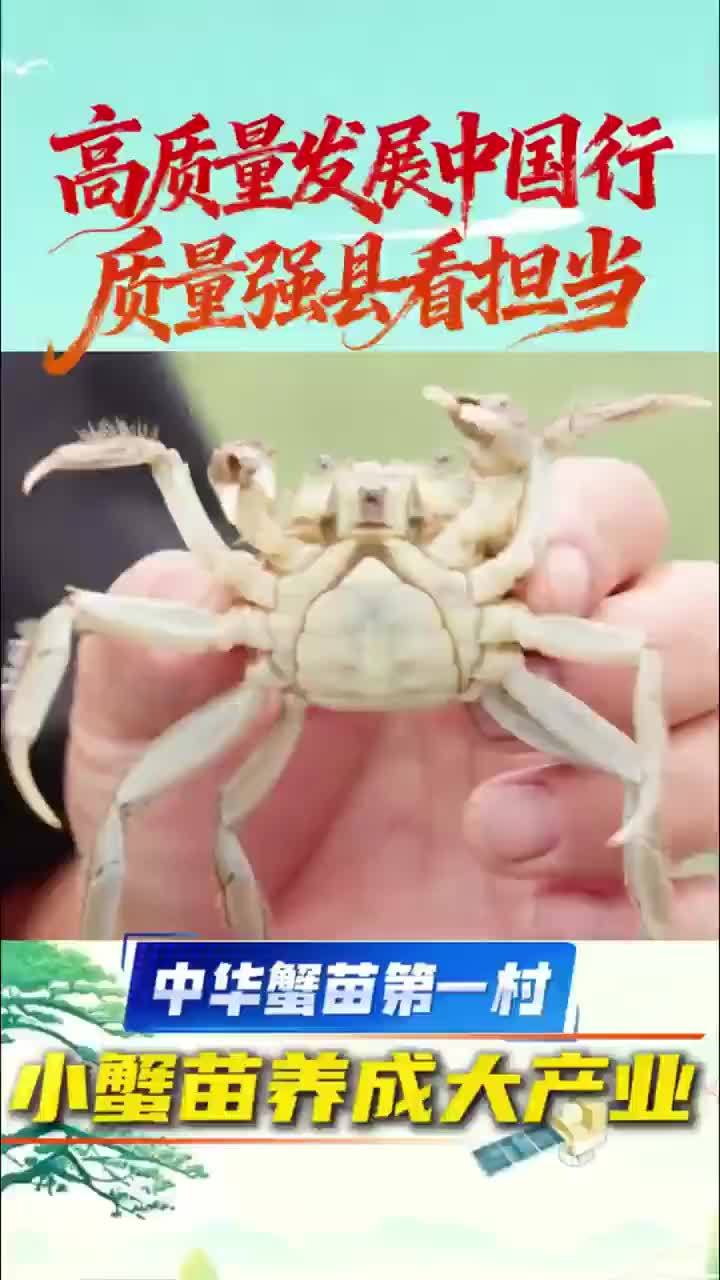 中华蟹苗第一村：小蟹苗养成大产业 近日，在“高质量发展中国行质量强县看担当”安徽调研团采访中，记者走进马鞍山市当涂县乌溪镇七房村。在这里，一只蟹苗的质量故事，正从塘口一直讲到深加工车间。#高质量发展中
