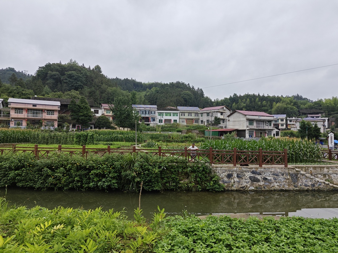 孙麟:让乡村的房子有乡村的样子——未来农民自建房的思考
