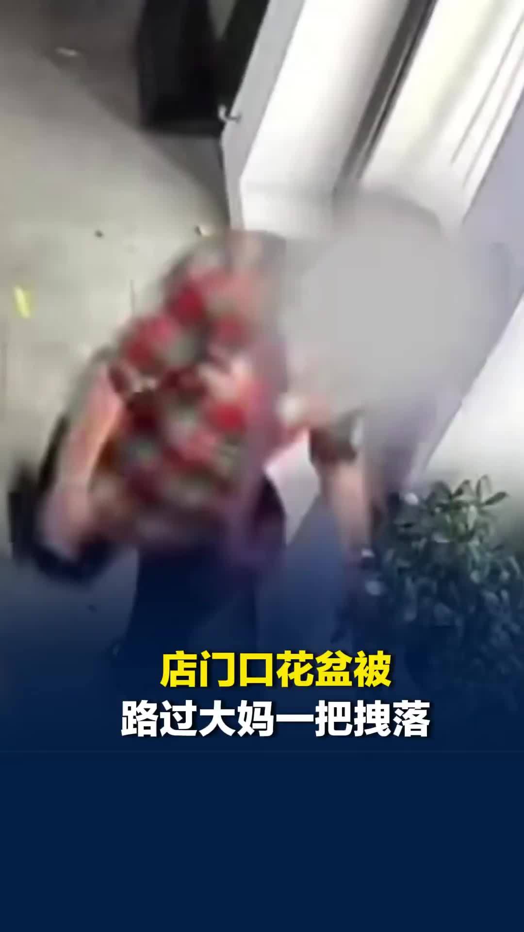 店门口花盆被路过大妈一把拽落，网友：这不是故意的谁信啊？