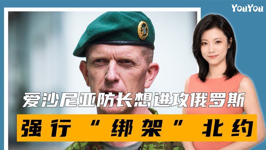 爱沙尼亚防长想进攻俄罗斯，强行“绑架”北约，普京用一句话回应