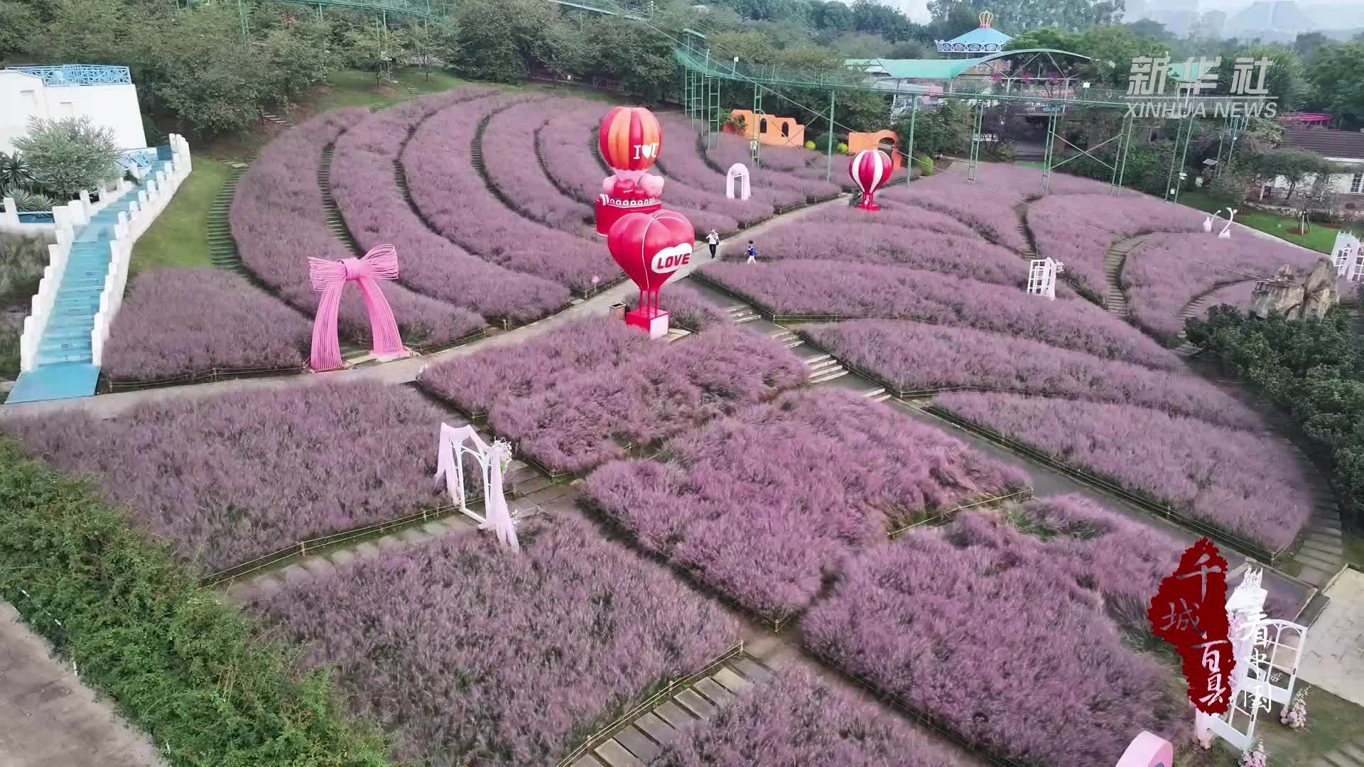 千城百县看中国｜四川新都：节日“香城”引客来