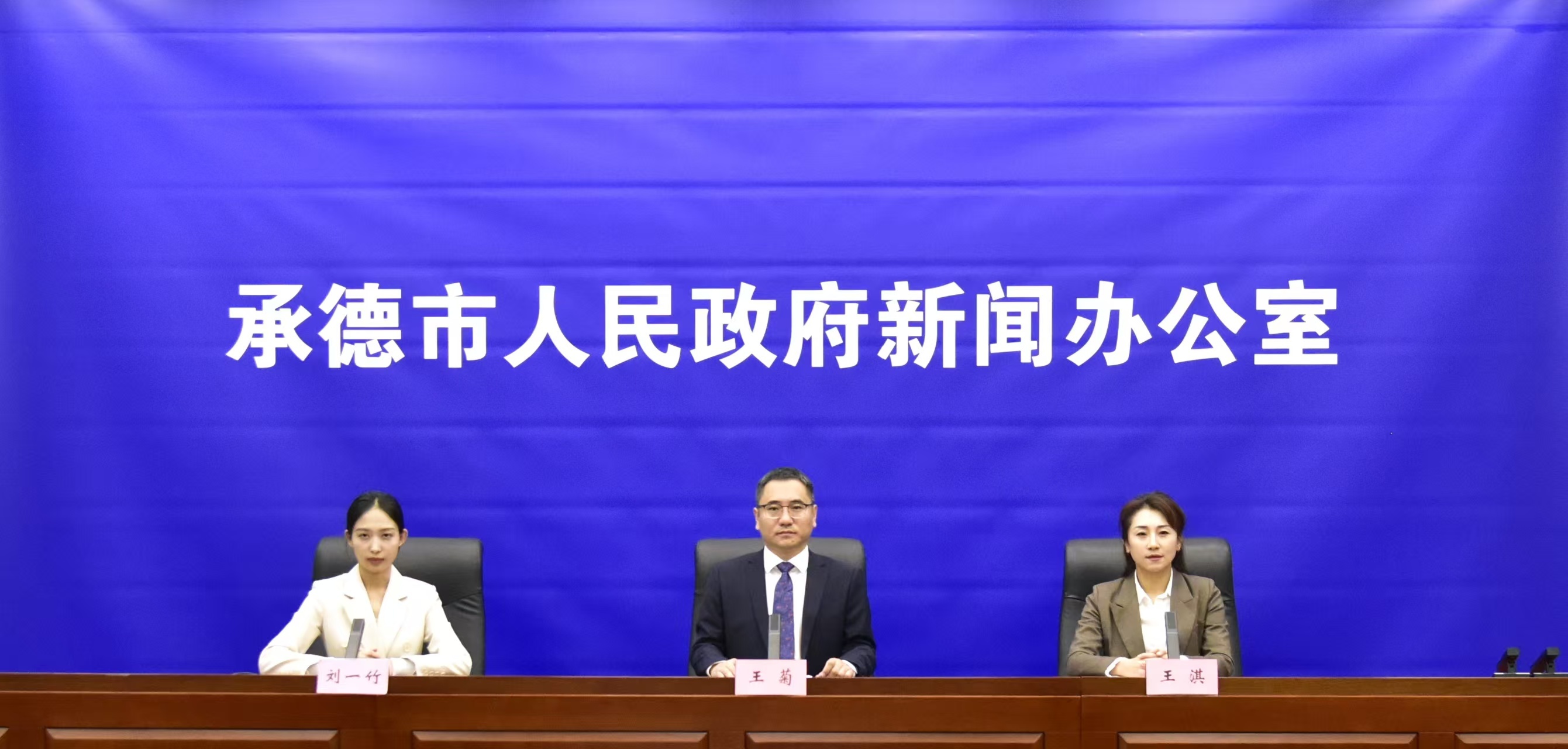 发布会 王占平摄