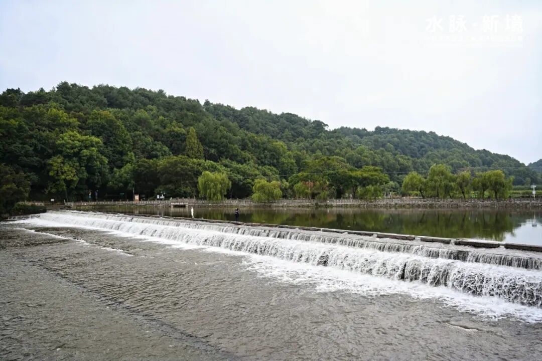 GJK_8549-opq5056615503.jpg