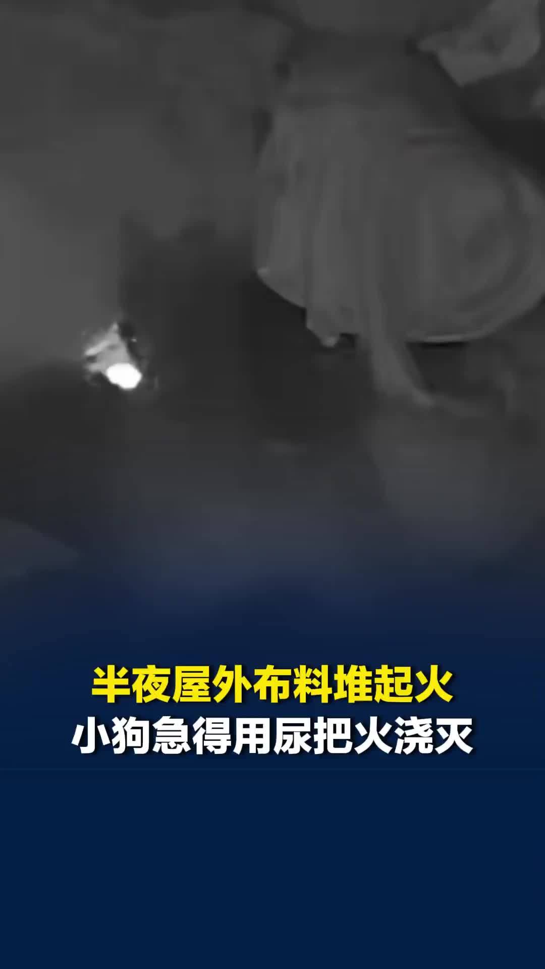 半夜屋外布料堆起火，小狗叫主人没反应，急得用尿把火浇灭，主人用排骨炖大鹅犒劳它