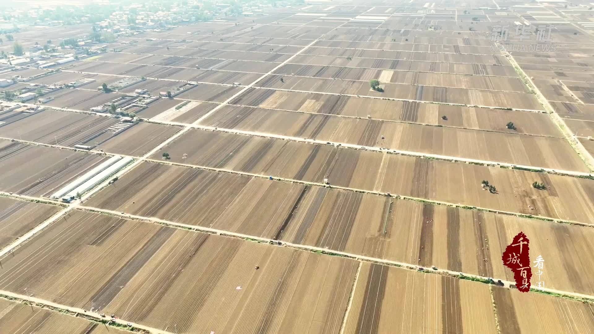 千城百县看中国｜山东兰陵：秋播绘“丰”景