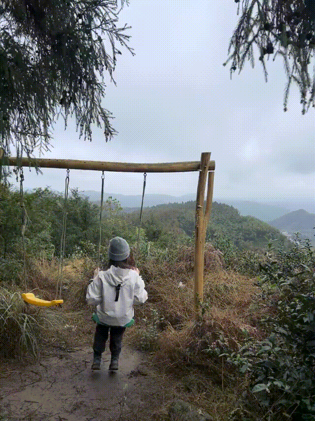 宁波爬山徒步|小森林遇云海 秋景如梦似幻_10_Yellow Hiking_来自小红书网页版 00_00_00-00_00_30.gif
