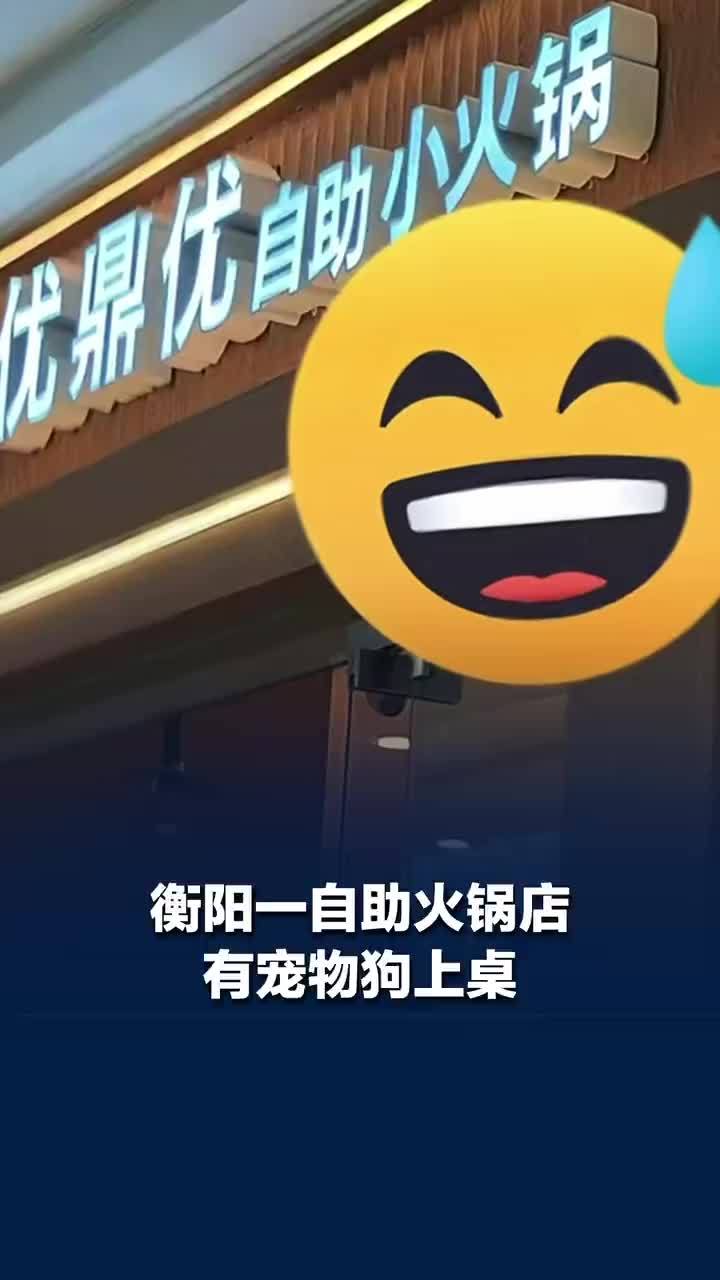 母女把宠物狗放火锅店餐桌上，餐馆称宠物狗上桌当天客人2倍退款：销毁所有餐具，停业消杀三天