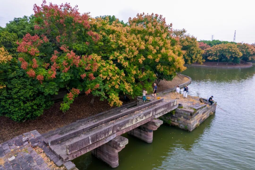 DJI_0525.jpg