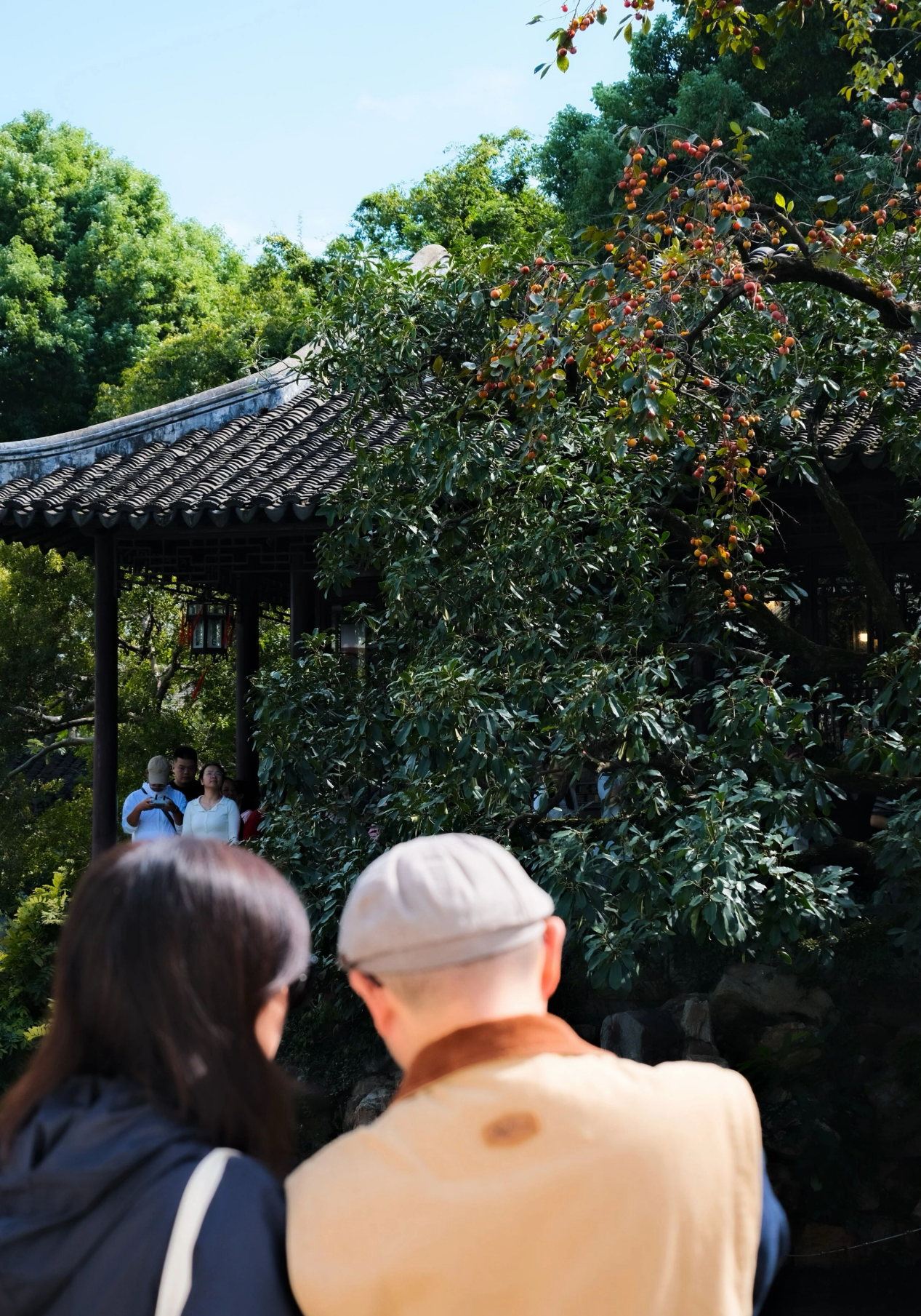 图片来源:苏州市文化广电和旅游局