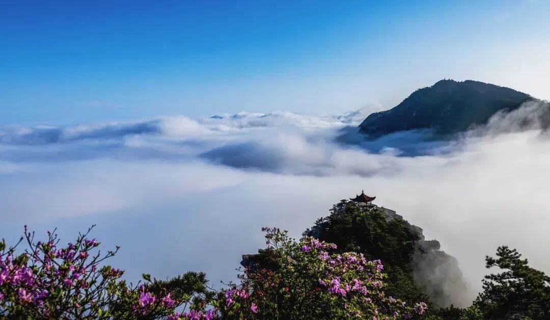 庐山含鄱口 | 图:公众号“中国庐山发布”