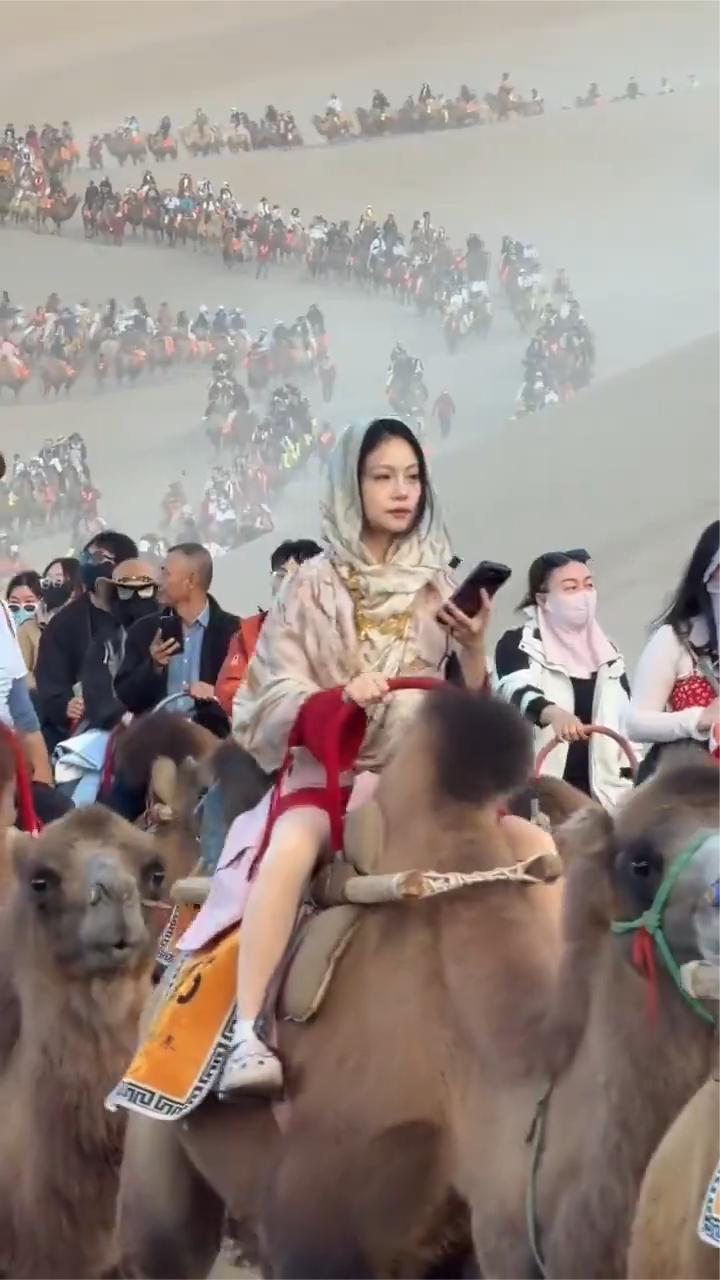 游人太多，骆驼只能不停加班