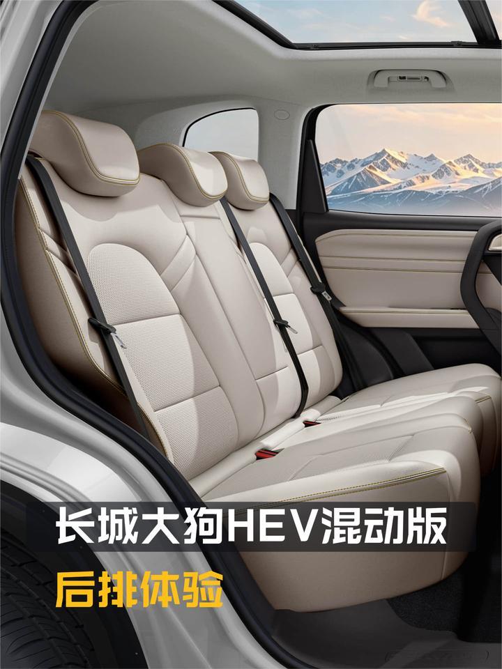 乘坐空间如何？功能配置怎样？长城大狗HEV混动版后排体验