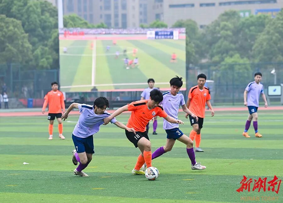 湘伴丨娄底,何以“硬钢到底”