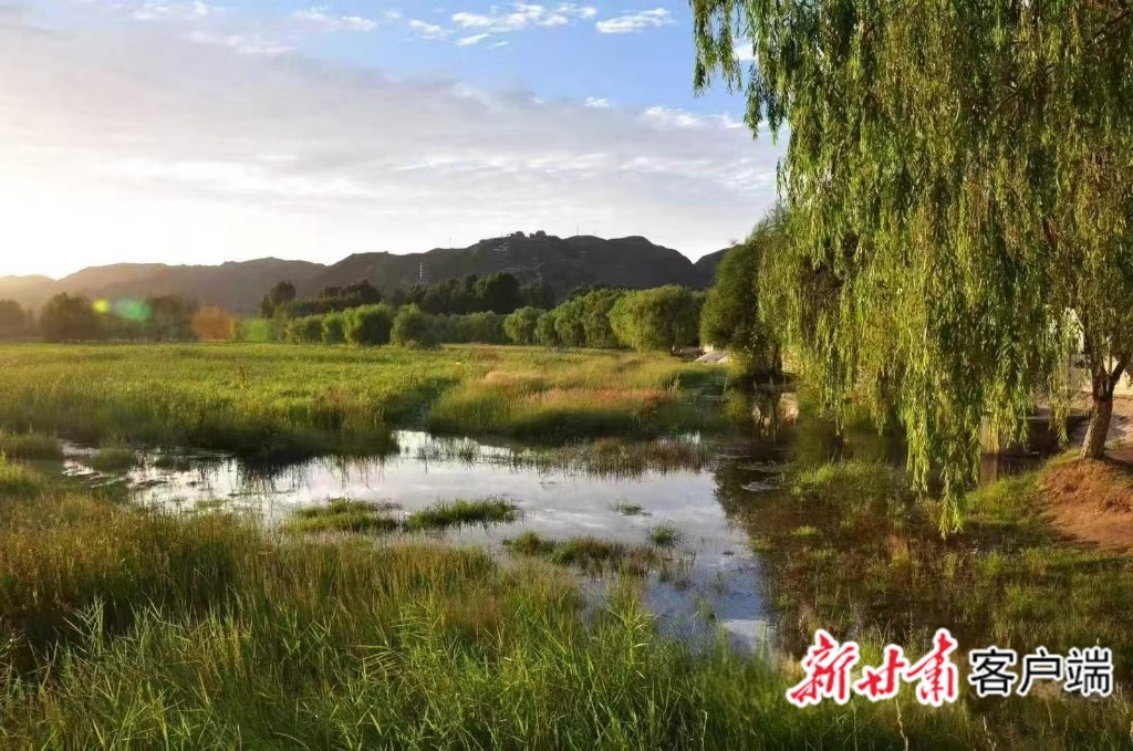 永昌北海子国家湿地公园 本文图片均由金昌市林草局提供