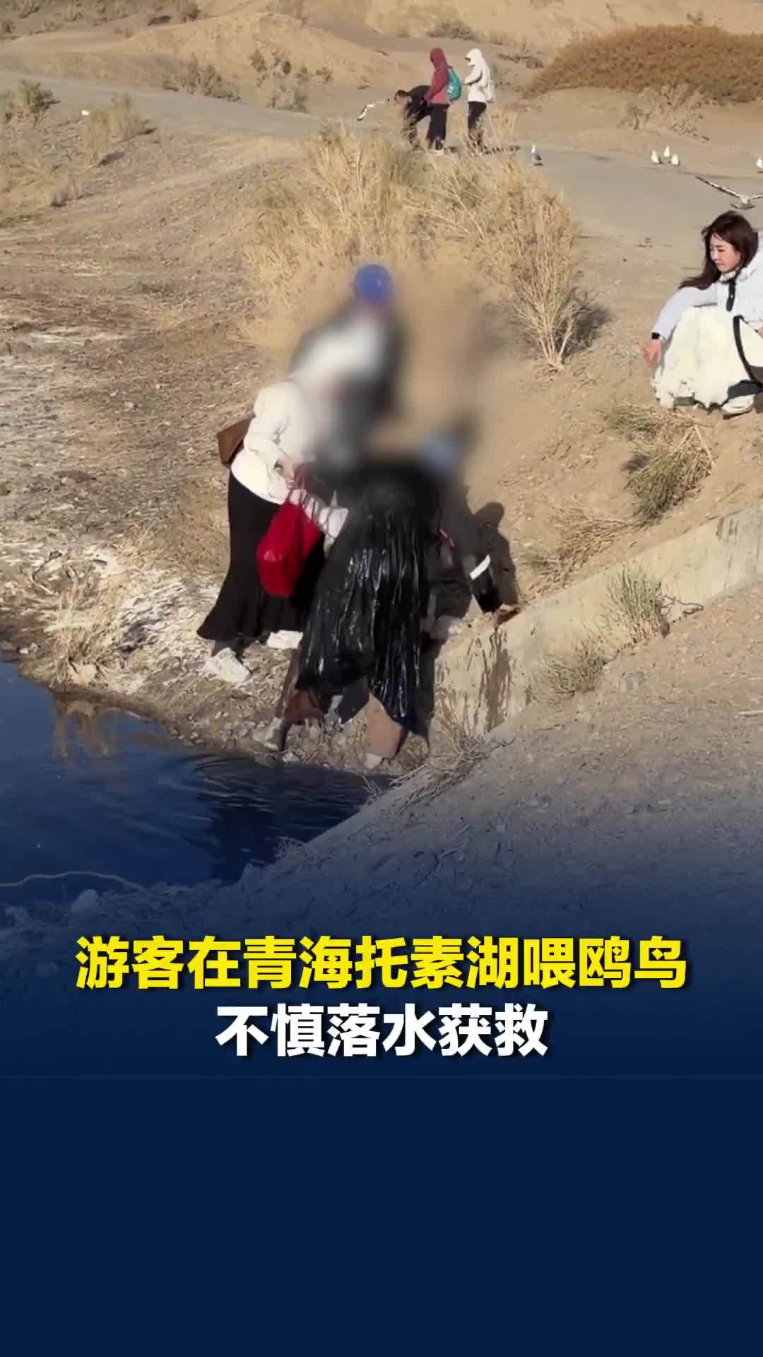 游客在青海托素湖喂鸥鸟不慎落水获救，文旅局：系开放景点，不提倡投喂