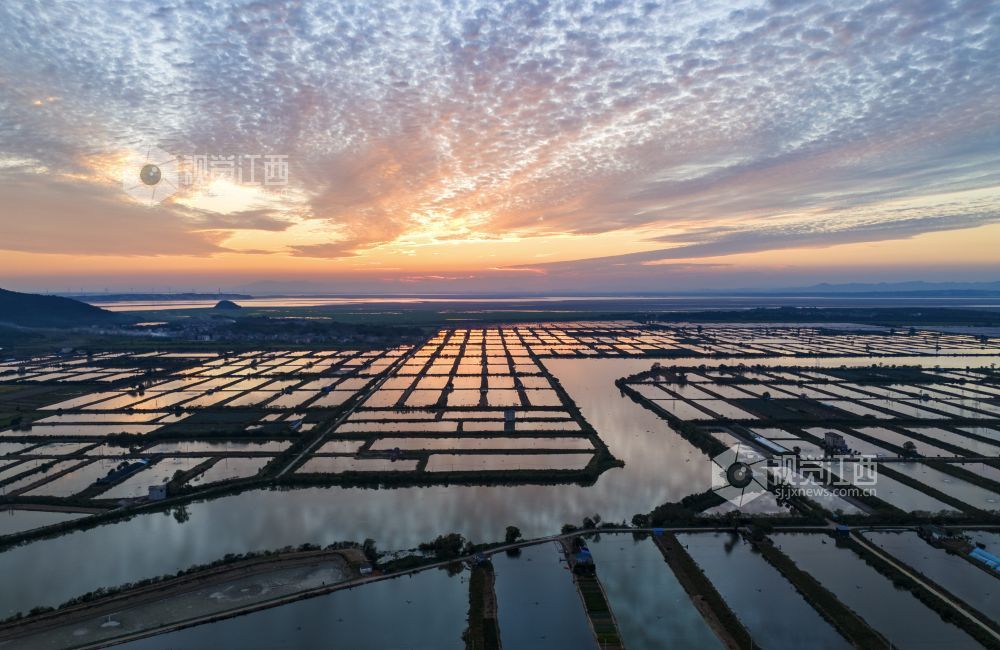 2026年10月7日,江西省九江市都昌县矶山湖水产养殖场上空晚霞绚丽,漫天霞光与池塘相映成趣,美不胜收。