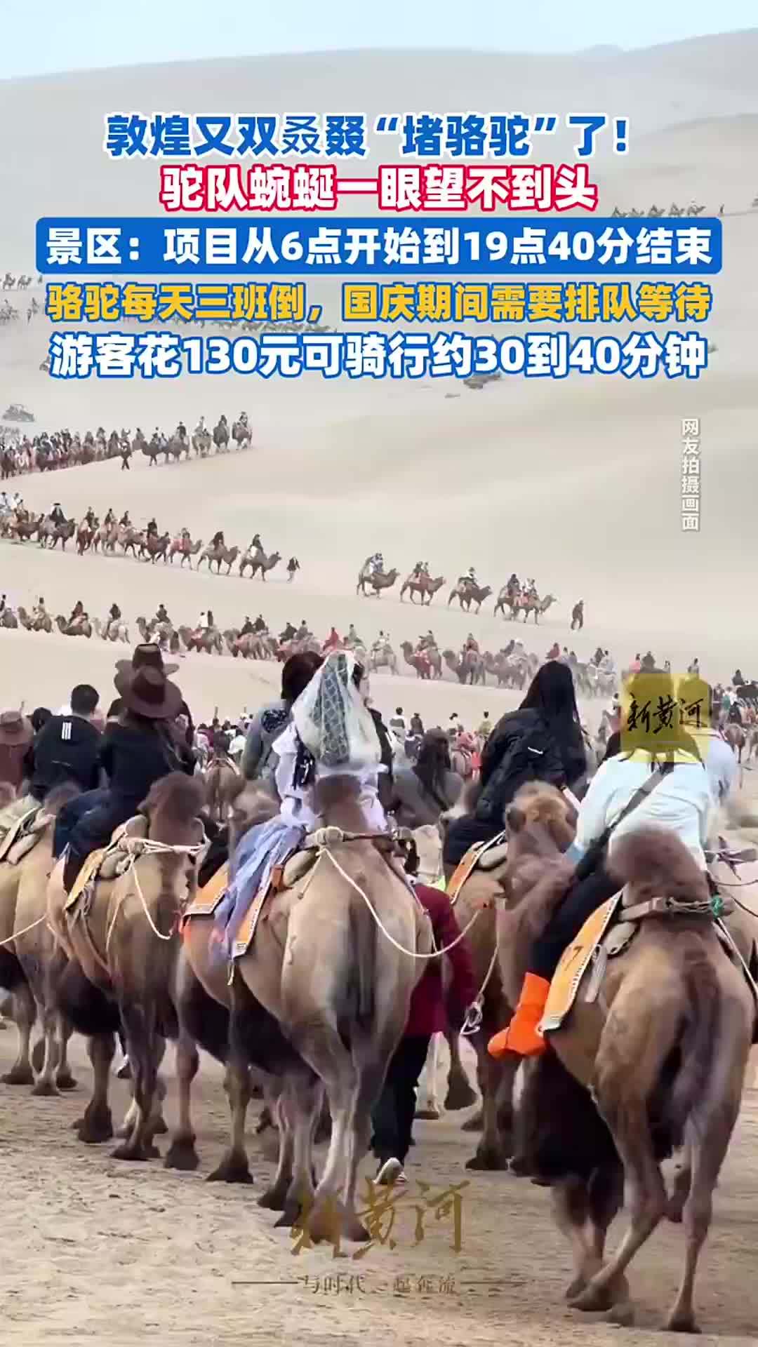 敦煌又“堵骆驼”了，驼队蜿蜒一眼望不到头。景区回应：骆驼每天三班倒