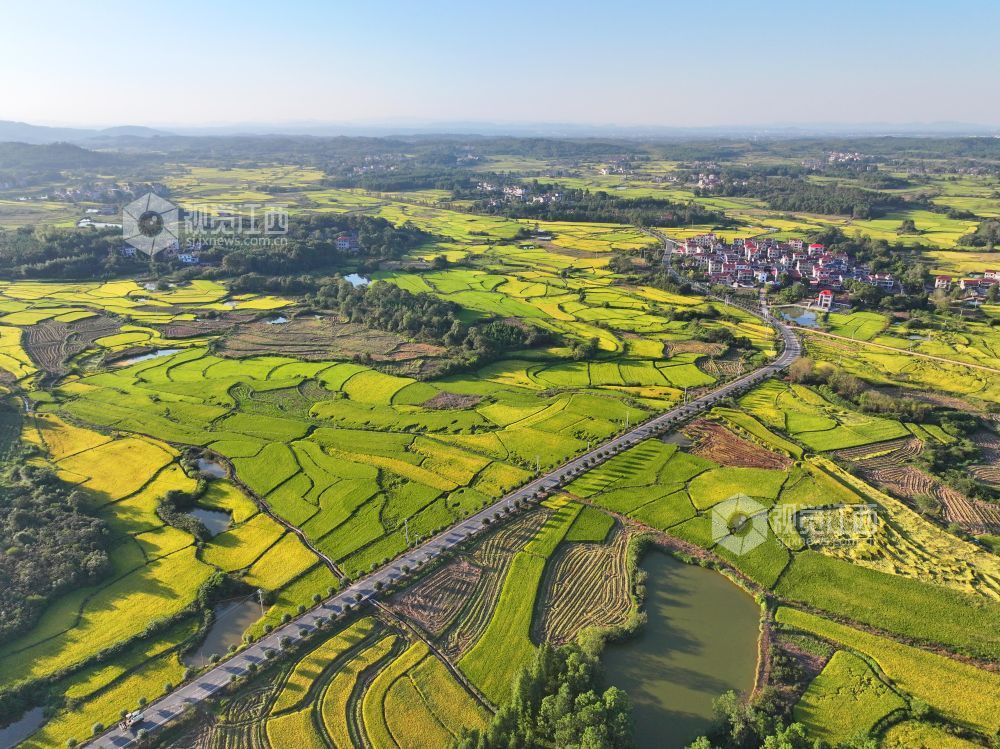 2026年10月6日，江西省吉安市泰和县马市镇南溪村，四好农村路穿越金色田园，助力乡村振兴。