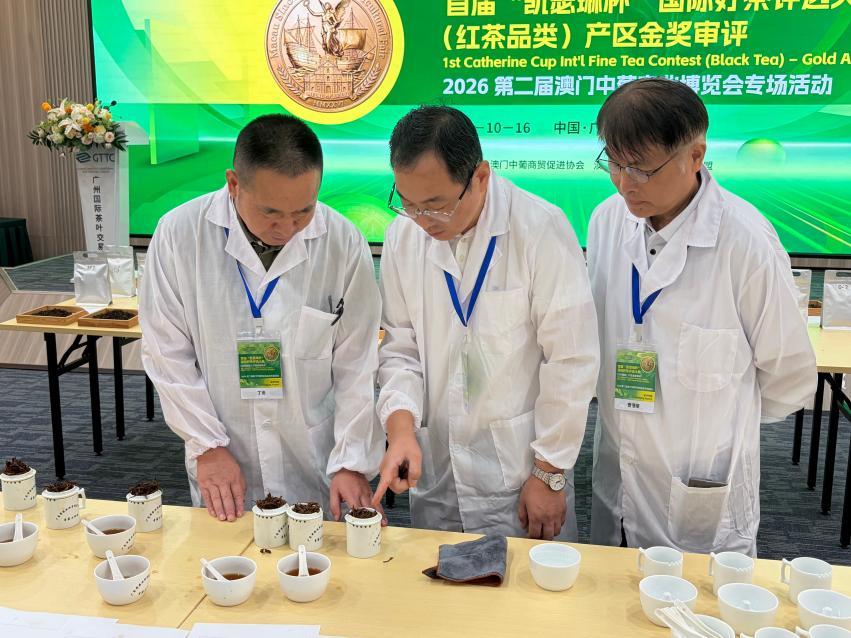 (专家审评茶底)