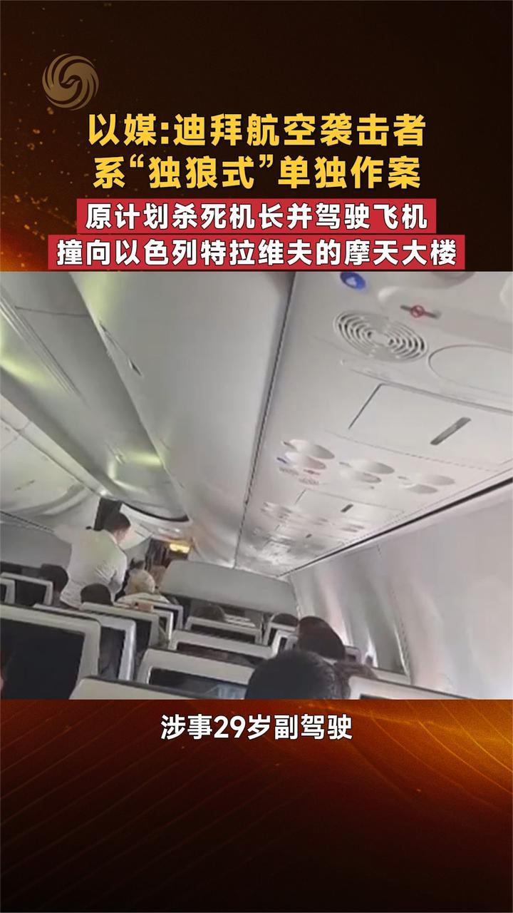 以媒：迪拜航空袭击者系“独狼式”单独作案 更多细节曝光