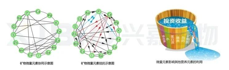 f5b5563838e35e4518a88e5c81e8ac98.jpg