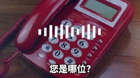 骗子冒充客服被戳穿后称回不了国 骗子冒充客服打电话说要“理赔”,接听