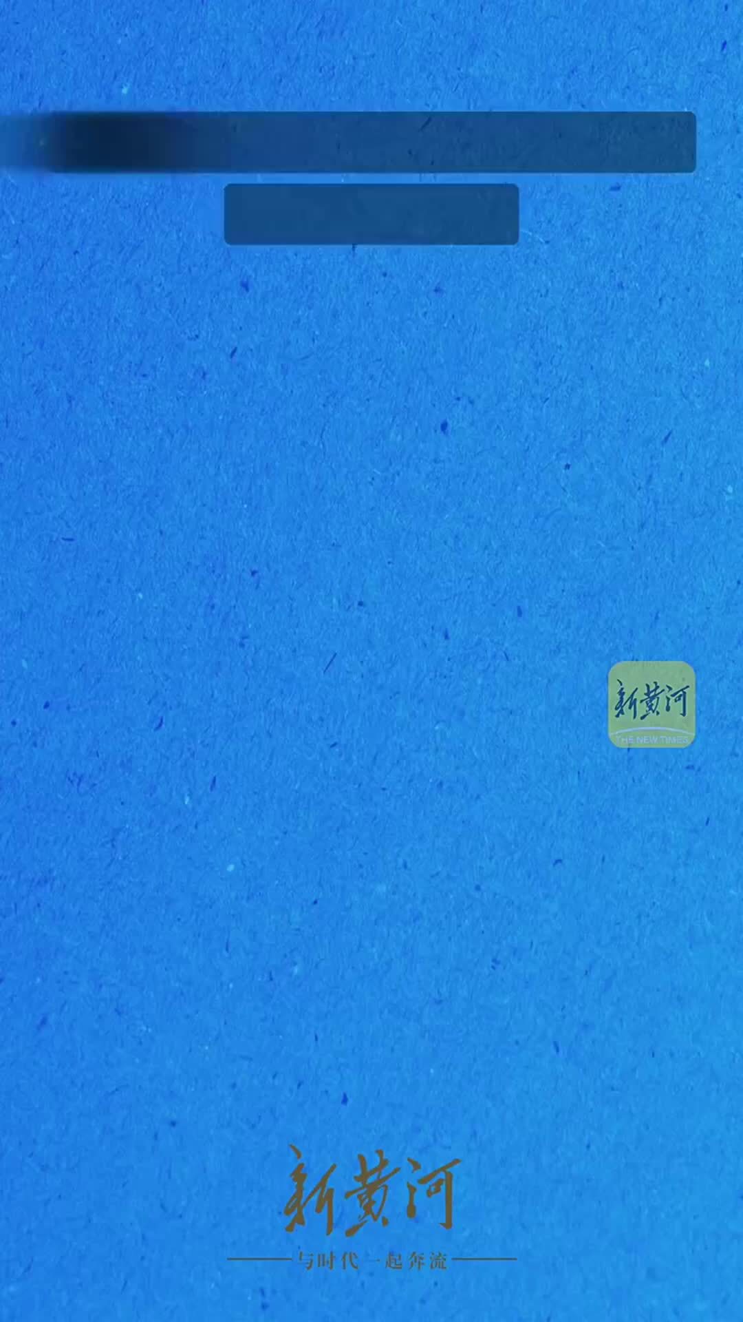 蔡康永给“台独”顽固分子站台，钧正平发声：这是个大是大非的问题，没有任何模糊空间