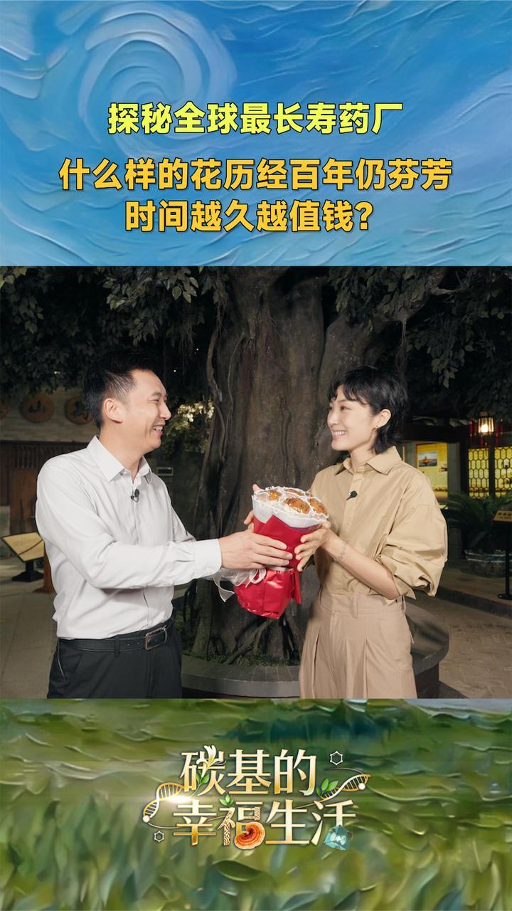 探秘全球最长寿药厂，什么花历经百年仍芬芳，时间越久越值钱？
