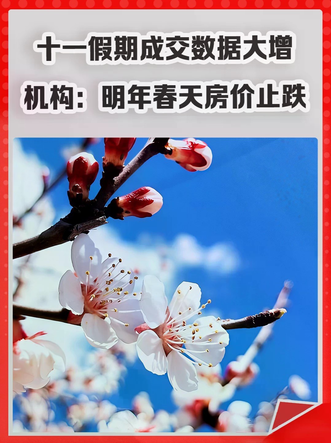十一假期成交数据大增，机构：明年春天房价止跌。#十一 #楼市 #房价 #春天 #二手房