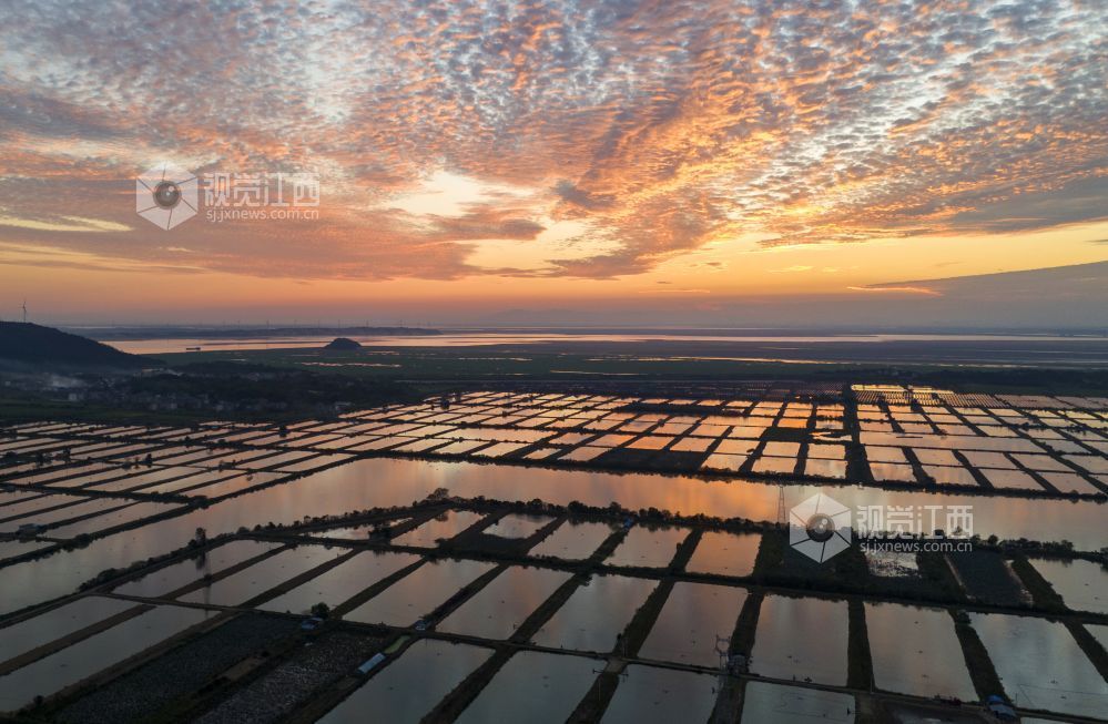 2026年10月7日,江西省九江市都昌县矶山湖水产养殖场上空晚霞绚丽,漫天霞光与池塘相映成趣,美不胜收。