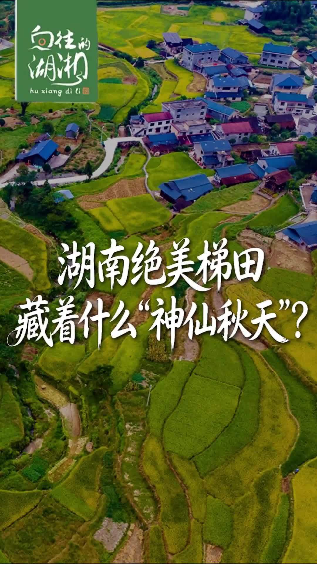 湖南绝美梯田藏着什么“神仙秋天”？