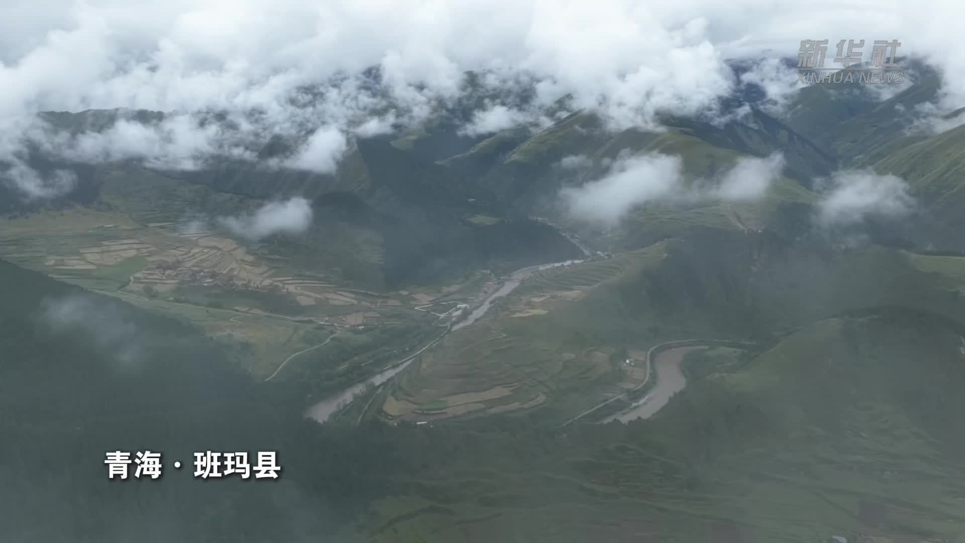 赓续长征精神 奋进复兴征程｜长征播下火种 养出满目新绿茶飘香