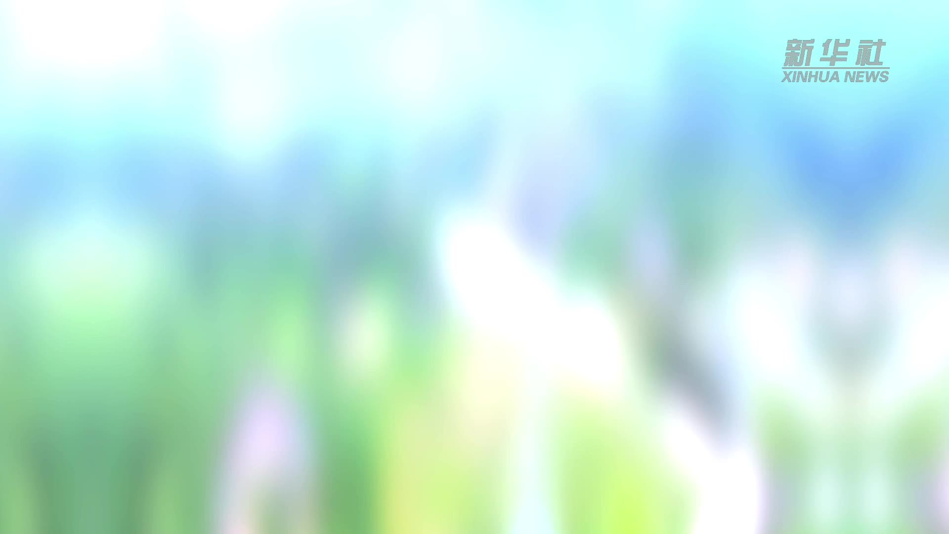 假日中国新图景｜山河奔赴“数”观假日经济活力
