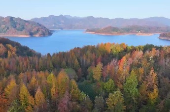秋染大别山 康养来六安 | 研学大别山 行走的思政课