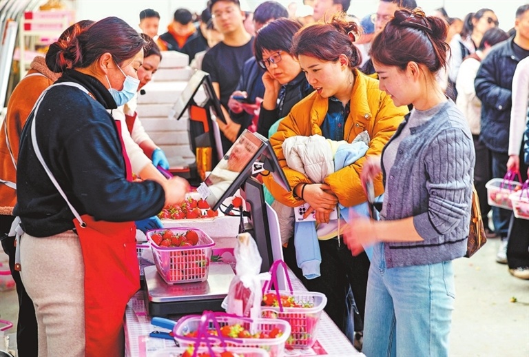 郑州市惠济区古荥镇西禾农场，游客们排队购买自己采摘的草莓。记者 邓放 摄