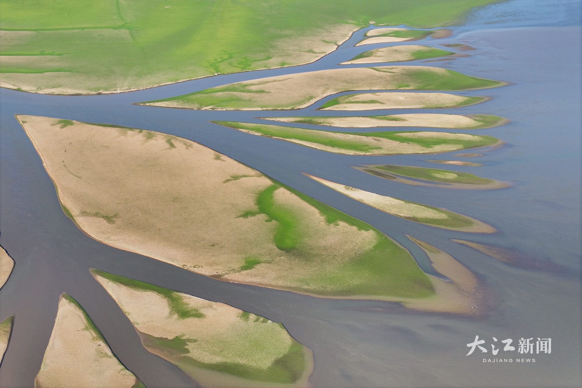▲水流冲刷形成交错的河道脉络，高空俯瞰，犹如一棵巨型“大地之树”。