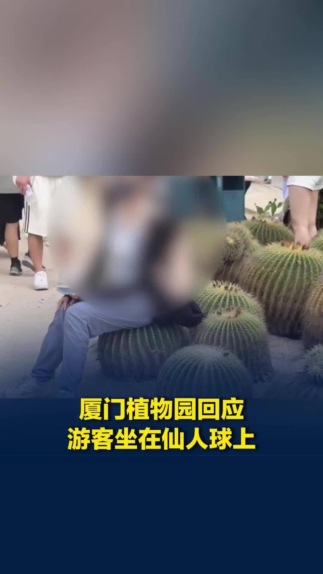厦门植物园回应游客淡定坐在仙人球上：建议不要触碰，被扎到可去医务室处理