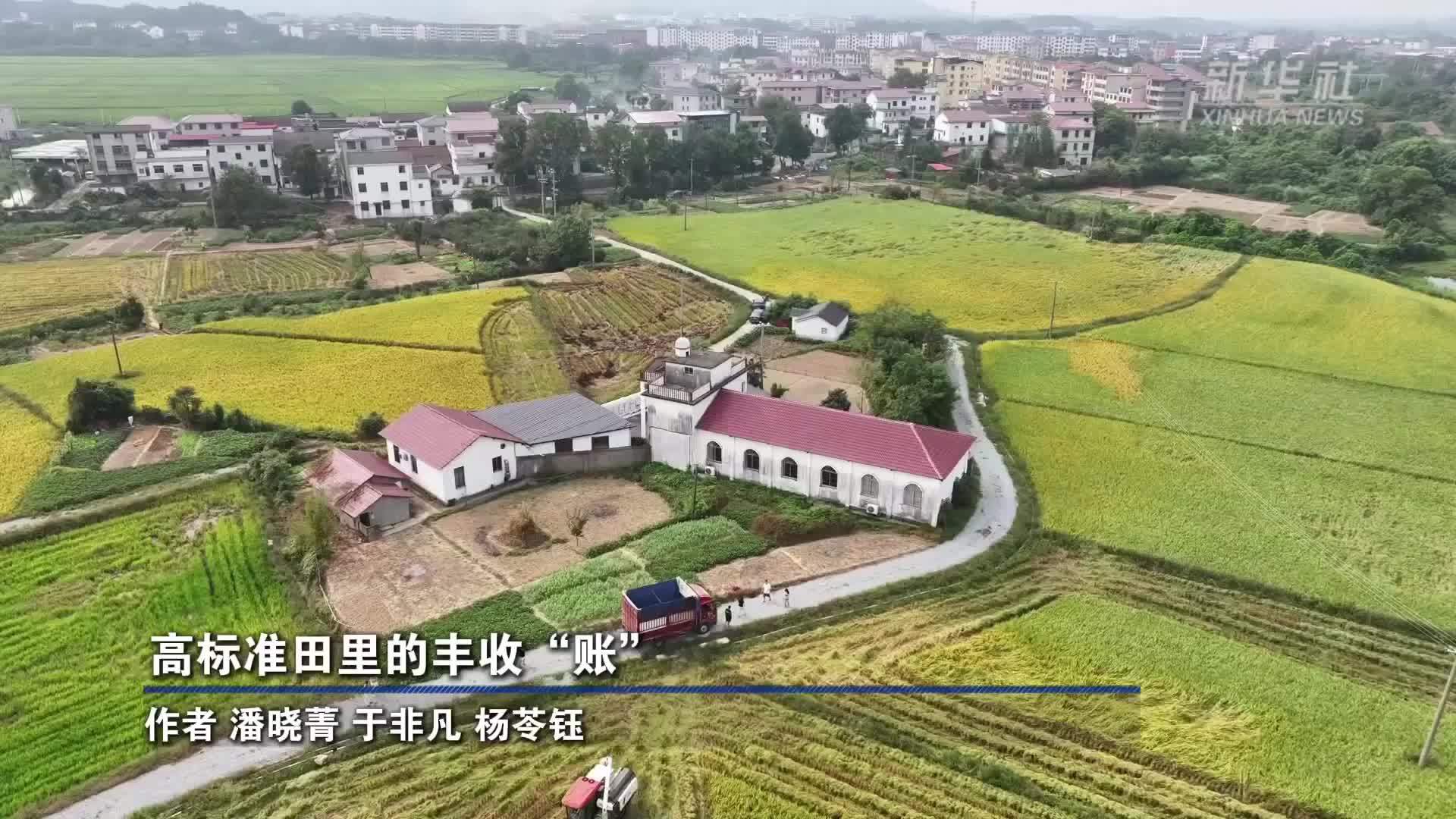 高标准田里的丰收“账”