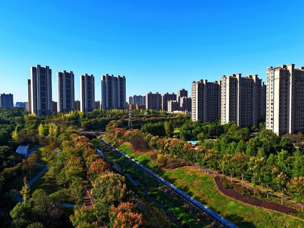 赣江新区：城市公园 秋景如画（图）
