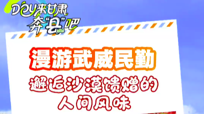 DOU来甘肃奔“县”吧丨漫游武威民勤　邂逅沙漠馈赠的人间风味