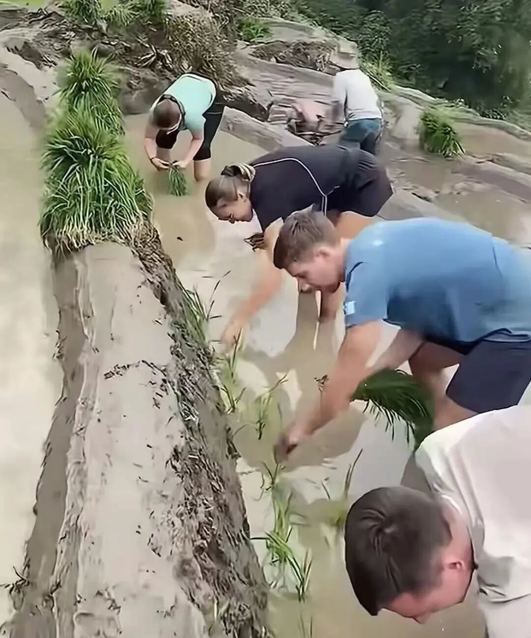 @Mr.余得水,图源:掌上春城