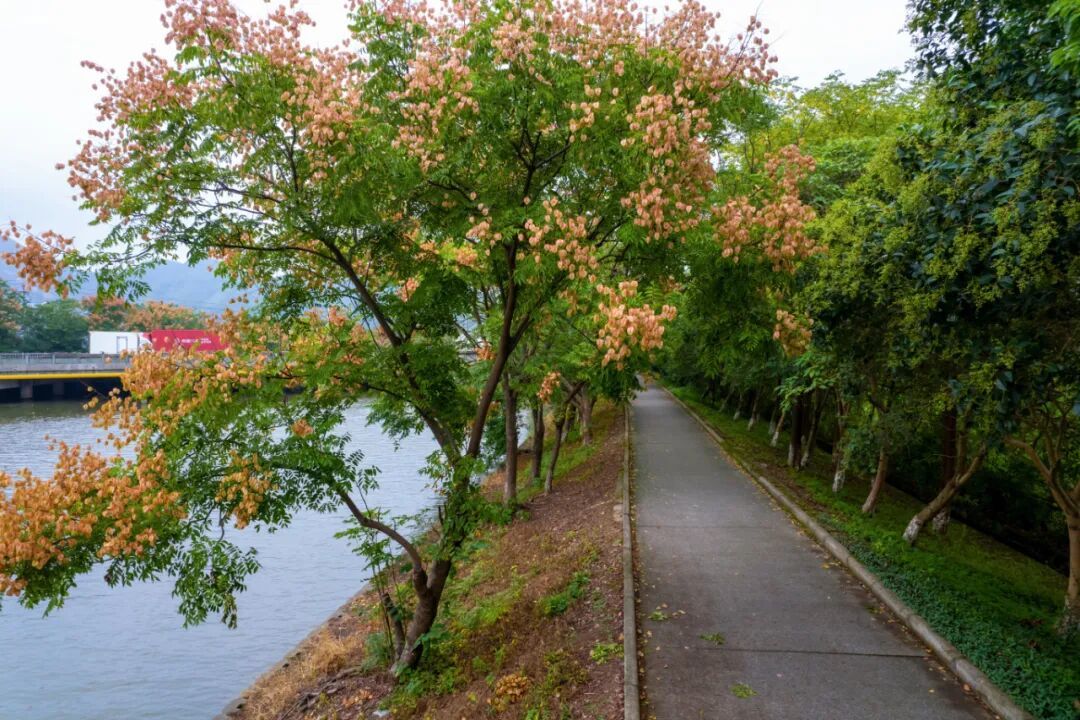 DJI_0504.jpg
