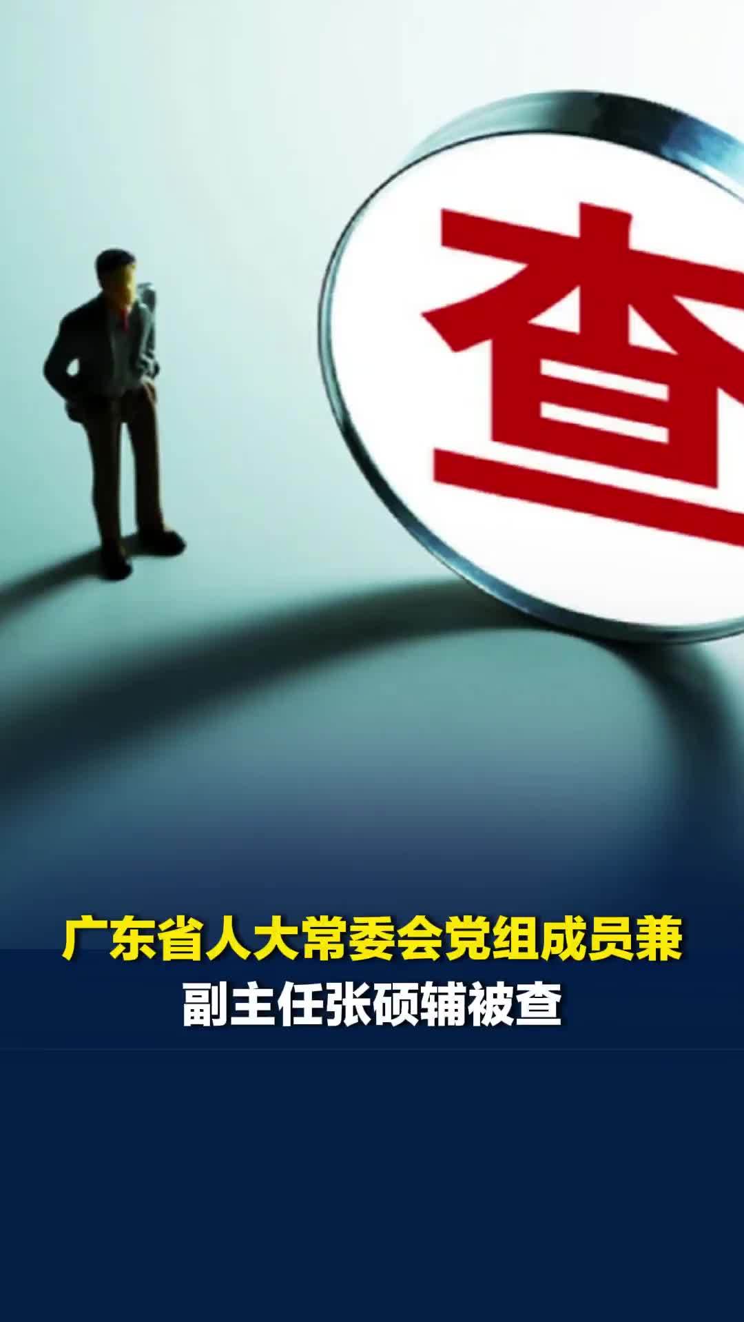 广东省人大常委会党组成员、副主任张硕辅被查