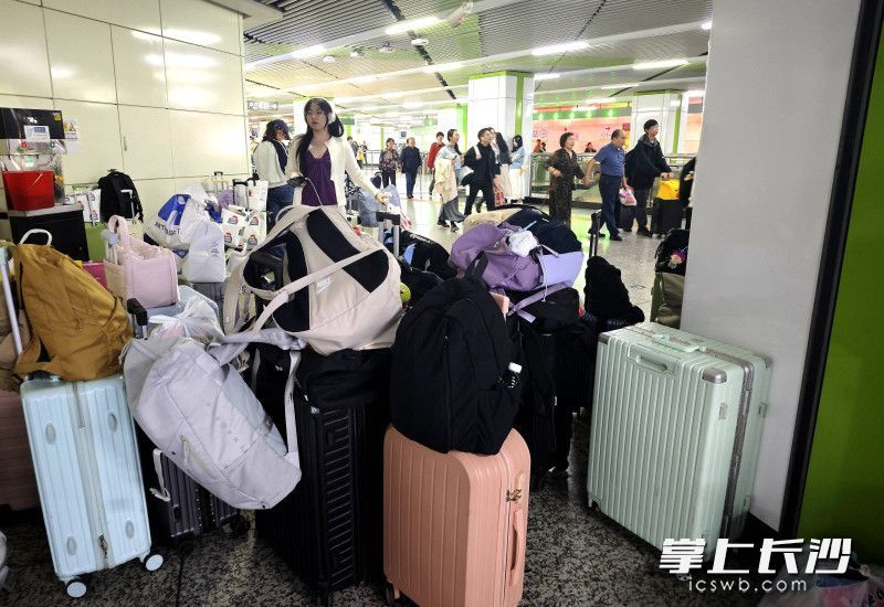 无声的默契彰显着双向的信任。